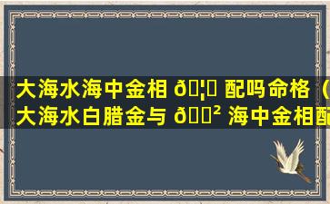 大海水海中金相 🦟 配吗命格（大海水白腊金与 🌲 海中金相配吗）